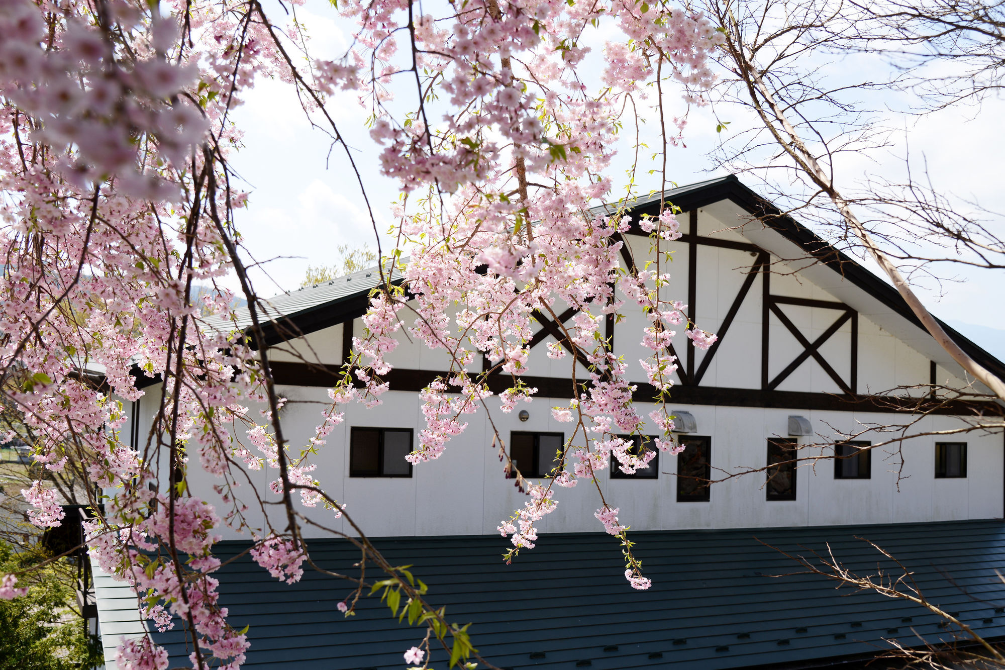 Kawaguchiko Country Cottage Ban Fujikawaguchiko Eksteriør billede
