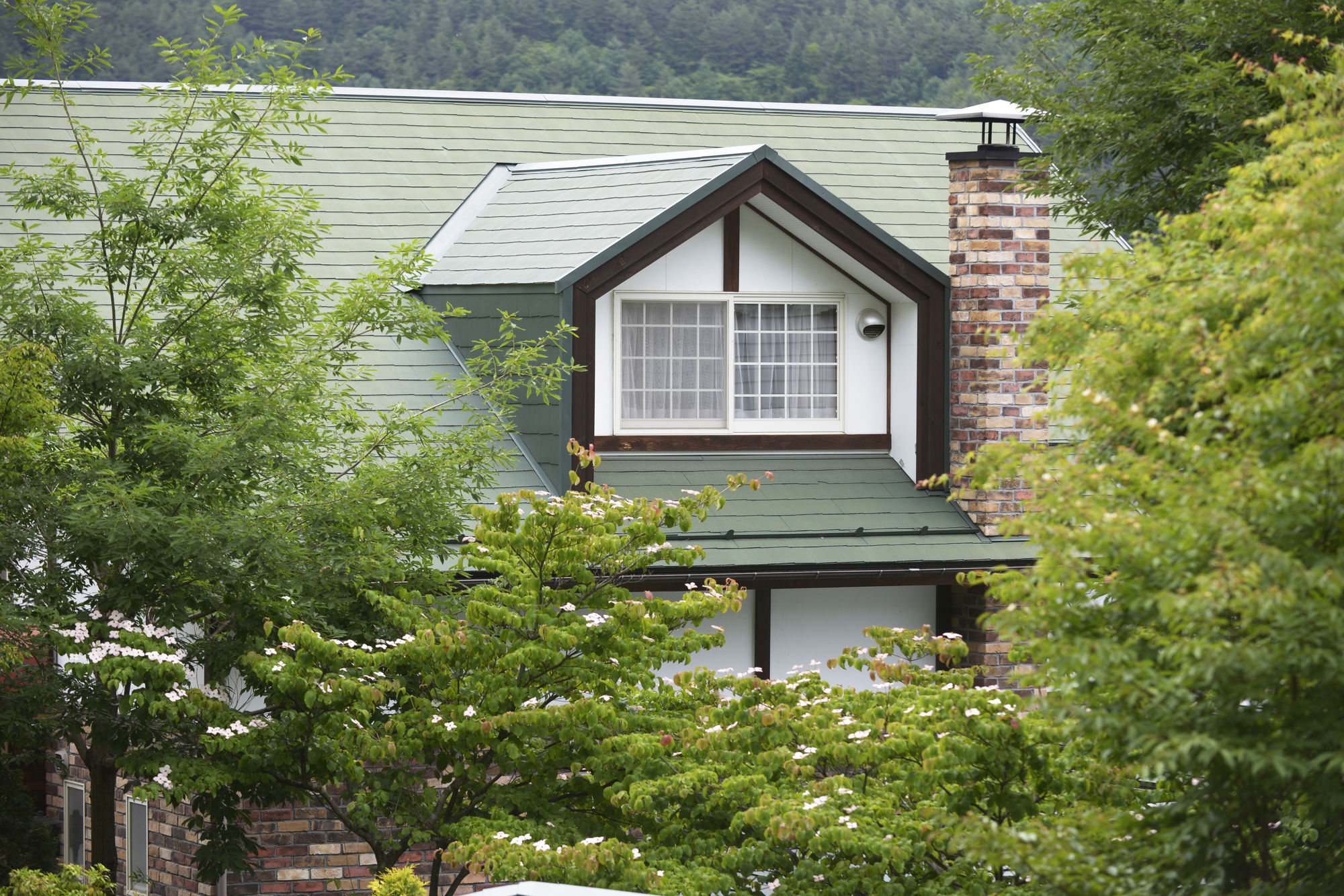 Kawaguchiko Country Cottage Ban Fujikawaguchiko Eksteriør billede